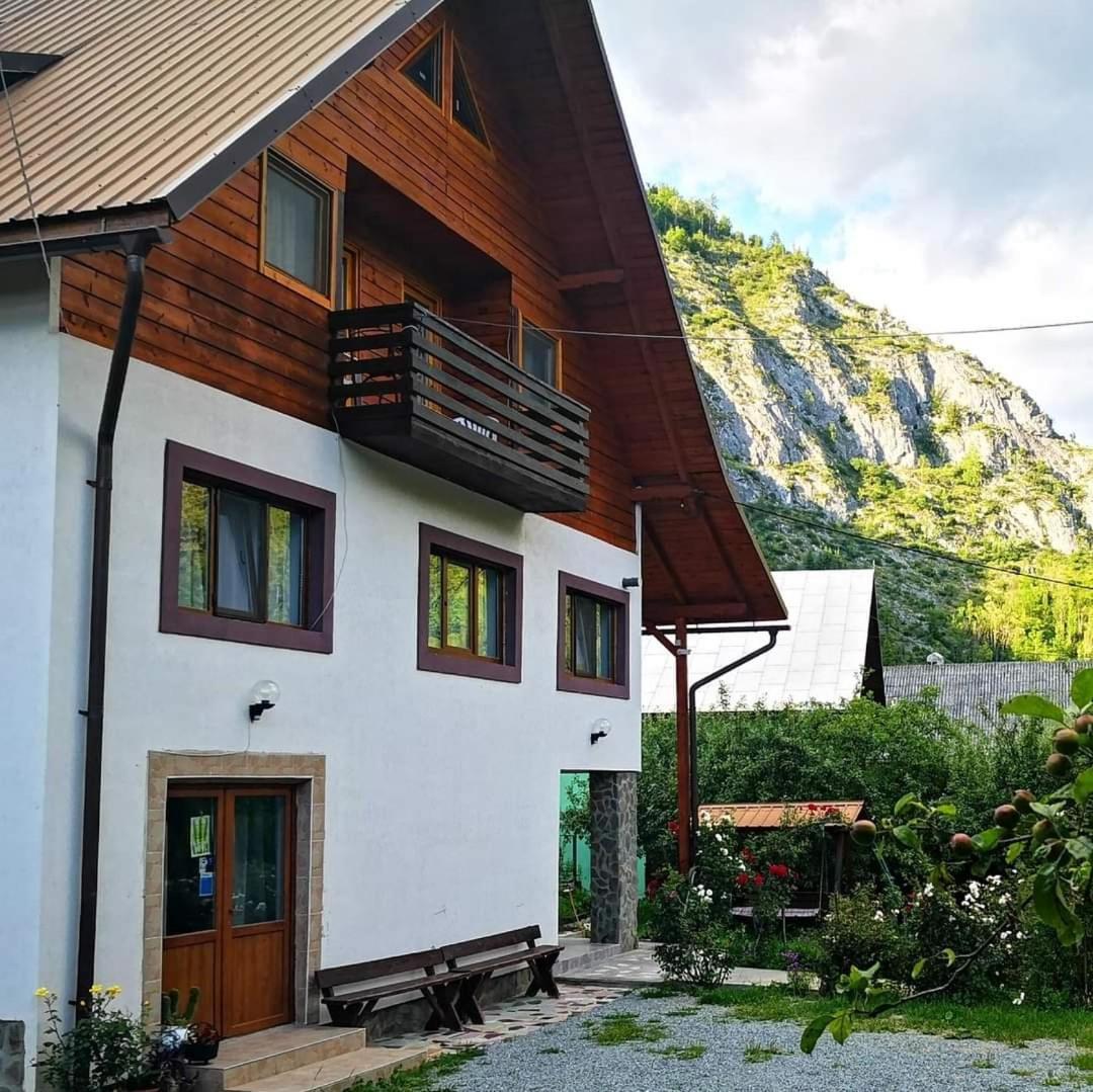 Pensiunea Piatra Mandrutului Scarisoara  Exteriör bild