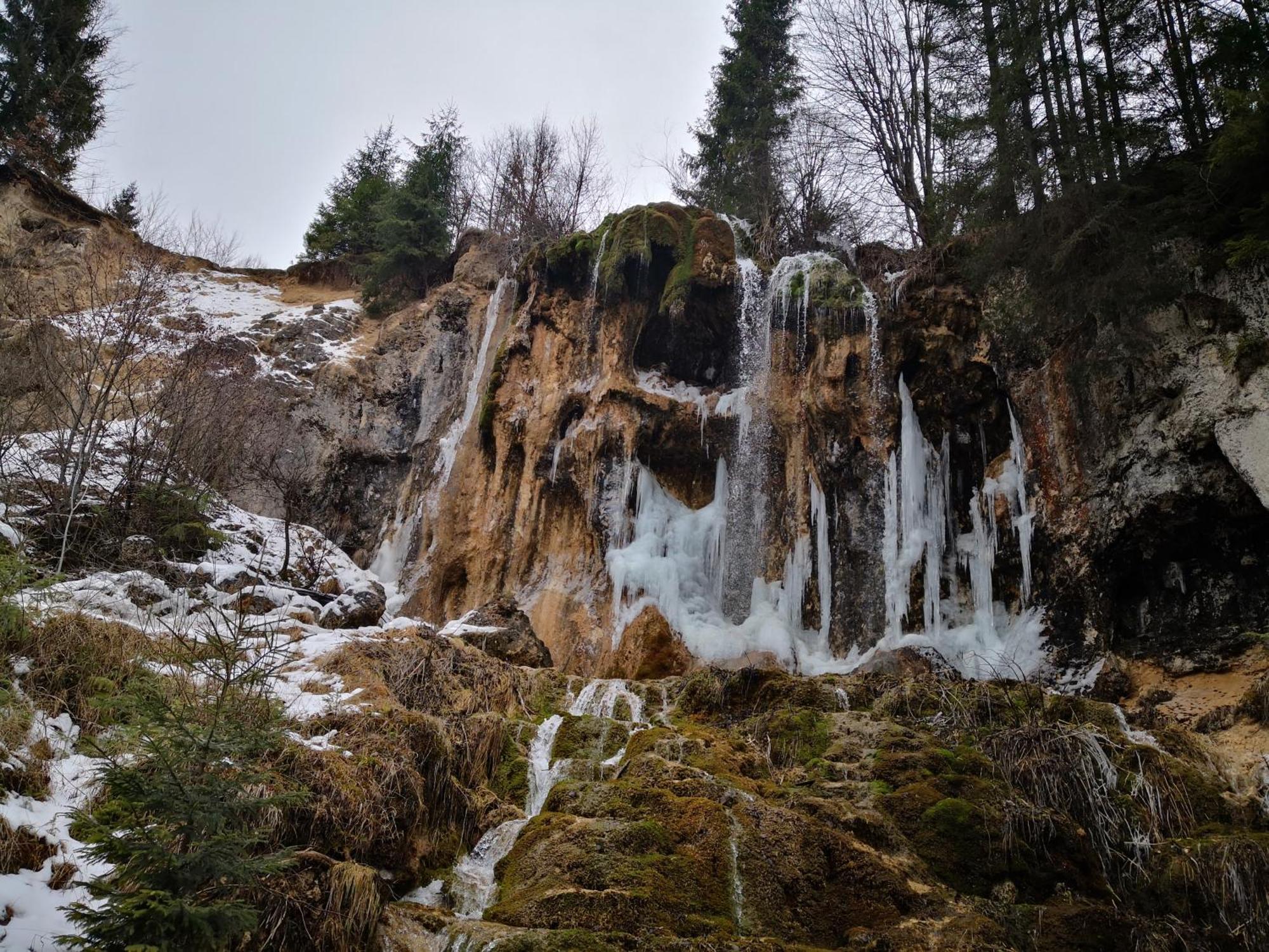 Pensiunea Piatra Mandrutului Scarisoara  Exteriör bild
