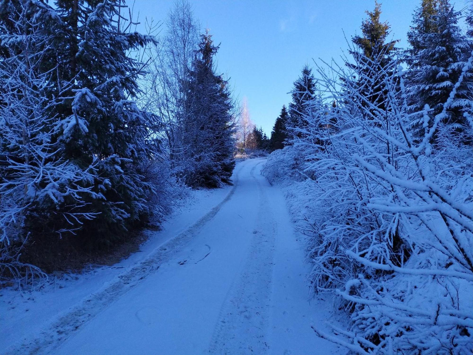 Pensiunea Piatra Mandrutului Scarisoara  Exteriör bild
