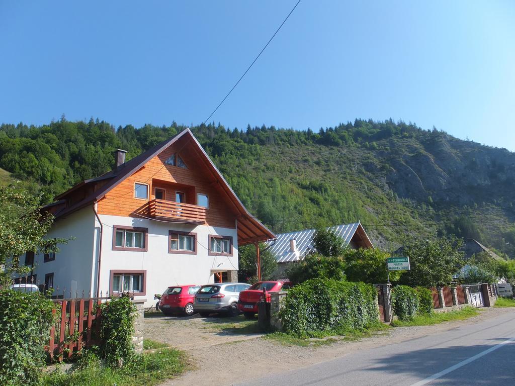 Pensiunea Piatra Mandrutului Scarisoara  Exteriör bild