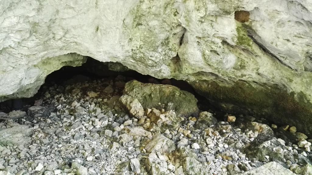 Pensiunea Piatra Mandrutului Scarisoara  Exteriör bild